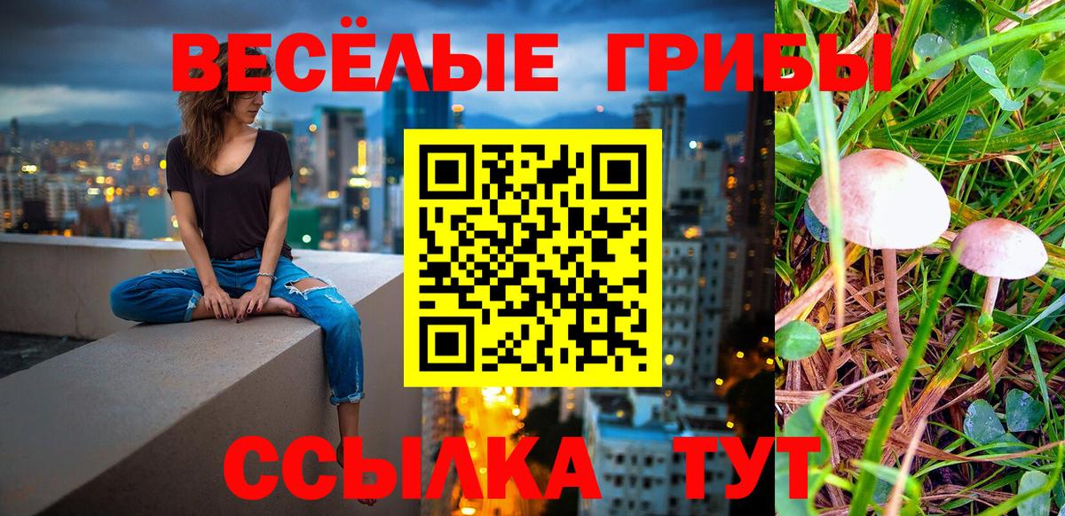 Псилоцибиновые грибы Psilocybine cubensis  Вход с VPN  сколько стоит  Чехов 