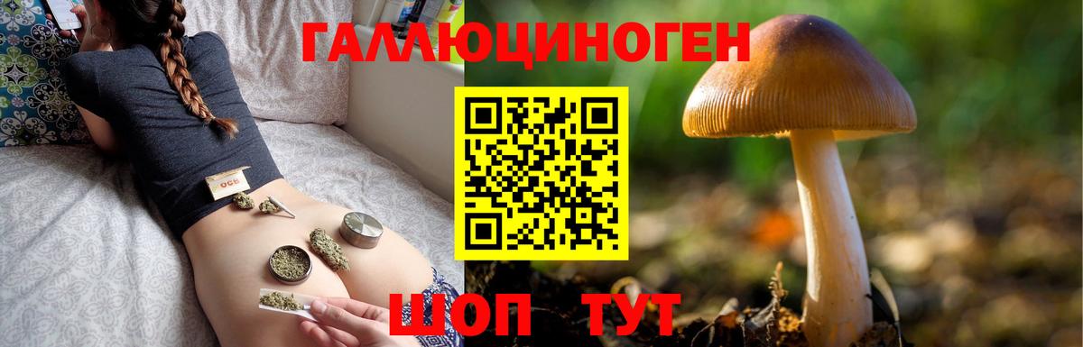 Псилоцибиновые грибы Magic Shrooms Чехов